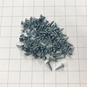 #10 Philips Head Screws / 00085504